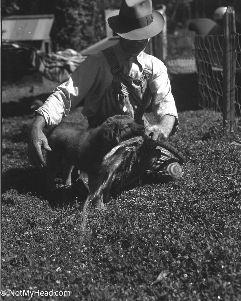 Photo of: Aunt Maggie, Uncle Ralph RIchey & Dog Reno Aug, 1935 Hollister  Date: 1935 Location:  Hollister California USA