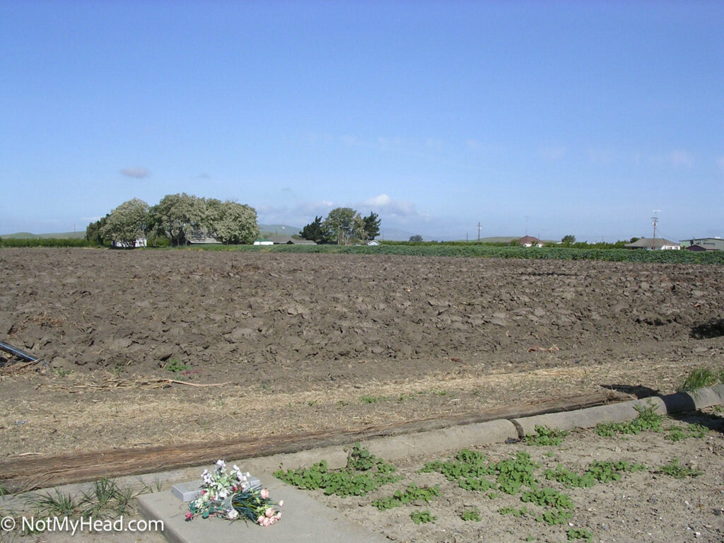 Photo of: A visit to the I.O.O.F. Cemetery in Hollister Date: 2004Location: I.O.O.F. Cemetery in Hollister, Calif. Hollister California USA