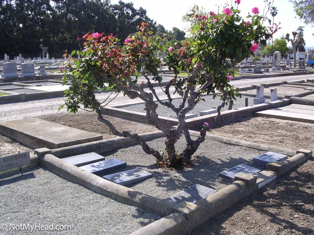 Photo of: Morris and Overstreet Family Plot Date: 2004Location: I.O.O.F. Cemetery in Hollister, Calif. Hollister California USA