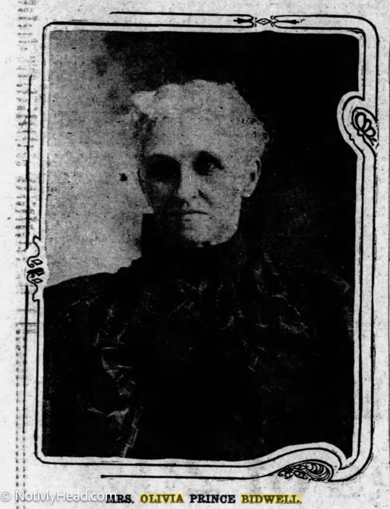 Photo of: Olivia Prince Bidwell, Buffalo Times Profile - Portrait, 1919  Date: 1919-07-06 Location:  Buffalo New York USA