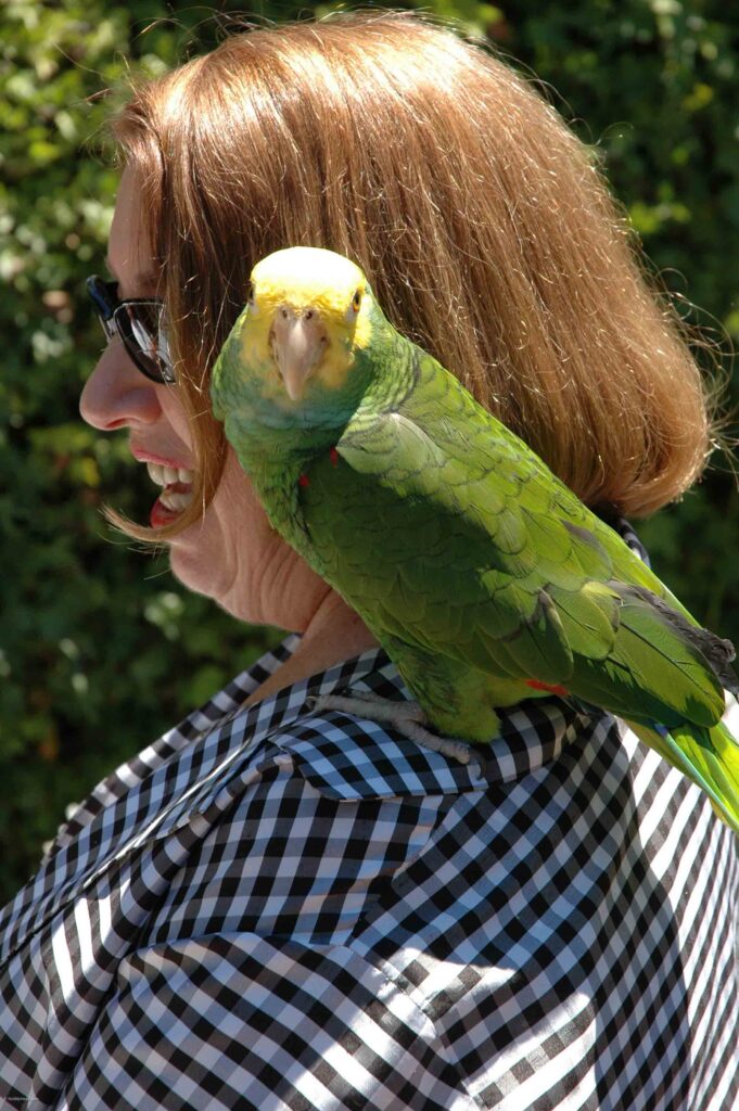 Photo of: Susan Overstreet & Feathered Friend  File: Overstreet Reunion 2004-73.jpg Date: 2004-07-19 Location: El Cerrito California