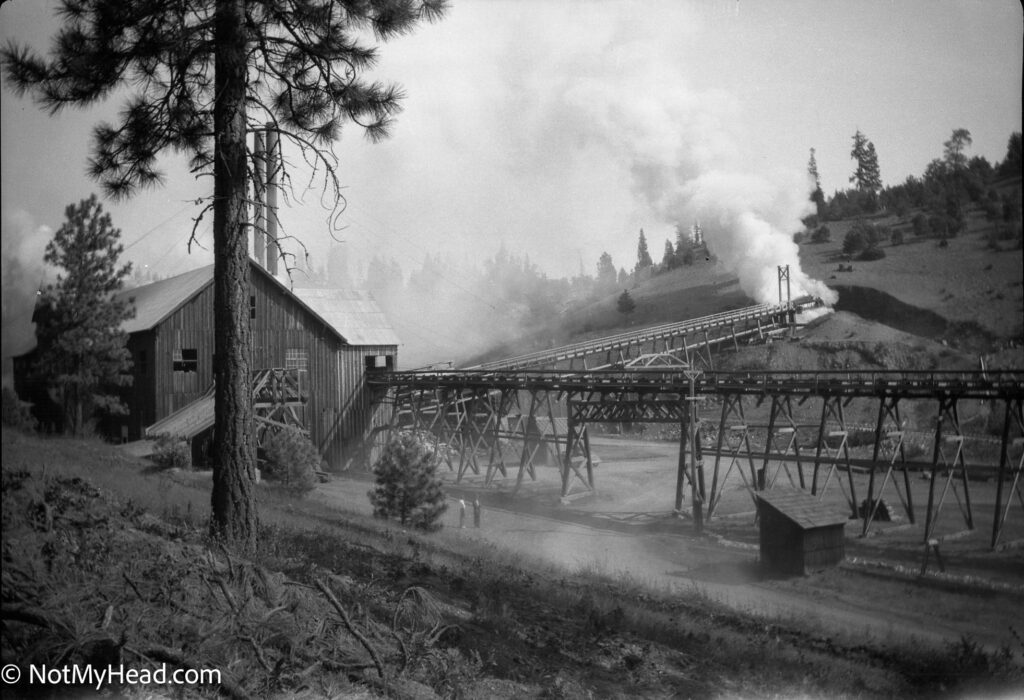 Photo of: Westside Lumber Company, Tuolumne, Ca, 1930's Date: 1930Location: Westside Lumber Company Tuolumne California USA