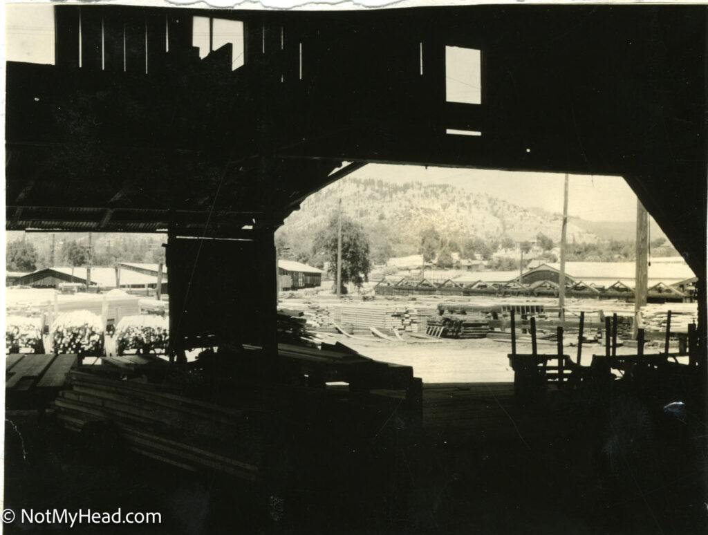 Photo of: Westside Lumber Co, Tuolumne CA, 1935 Date: 1935Location: Westside Lumber Company Tuolumne California USA