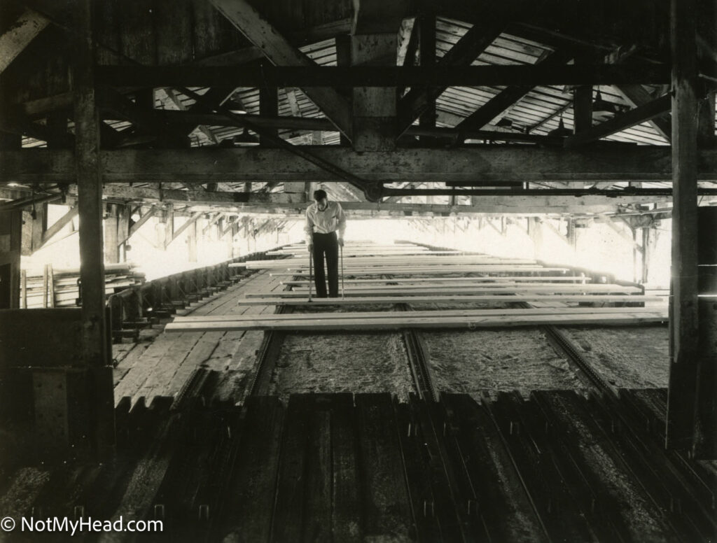 Photo of: Westside Lumber Co, Tuolumne CA, 1935 Date: 1935Location: Westside Lumber Company Tuolumne California USA