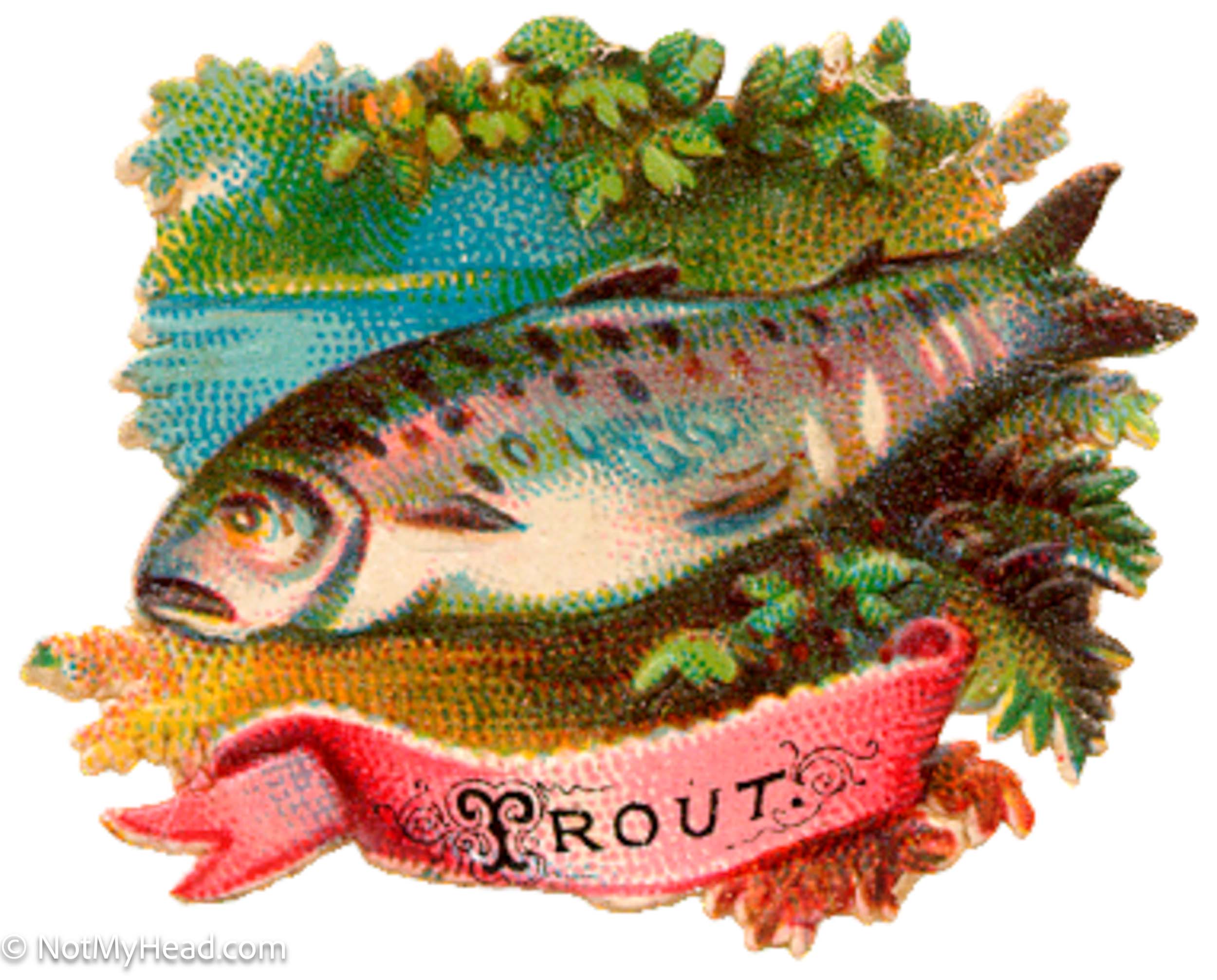 Photo of: Trout <BR>Date: <BR>Location:    