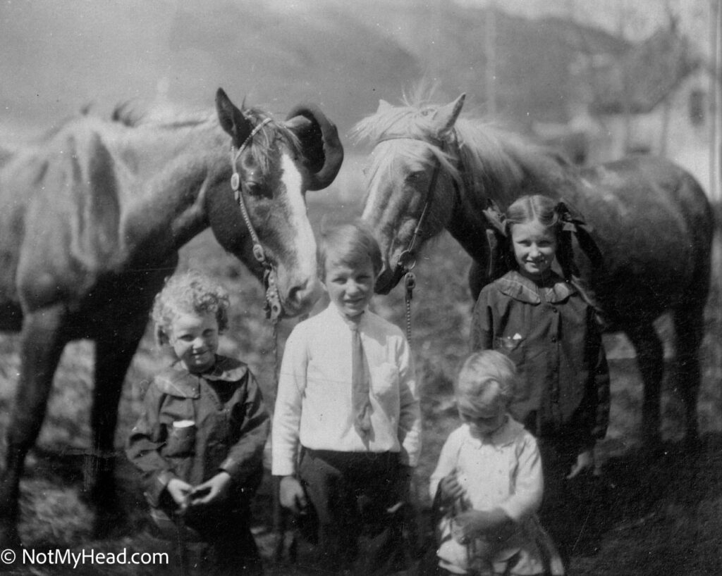 Photo of: Ruby, et al: Young horsewoman  Date:  Location:    USA